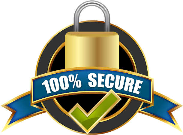 100 percent secure payment